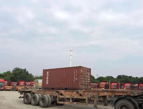 鹽田報關(guān)行 專業(yè)高效，服務周到的普貨報關(guān)專家