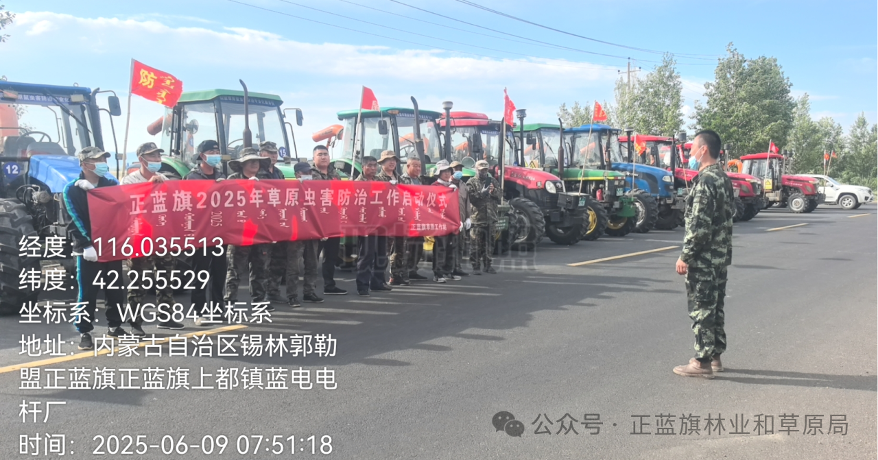 正藍(lán)旗扎實(shí)推進(jìn)林草有害生物防治多舉措織密生態(tài)安全防護(hù)網(wǎng)